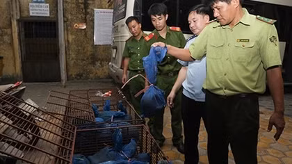 Phát hiện 30 con tê tê trên xe khách