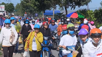 Hàng ngàn du khách đổ về Sa Đéc ngắm hoa, chụp ảnh