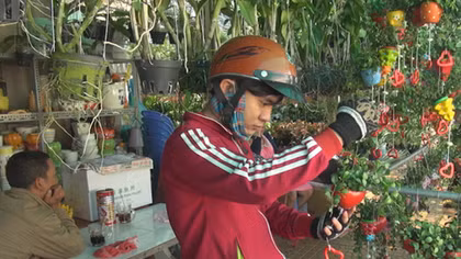 Hoa tình yêu, hoa trồng trong chậu đắt hàng dịp lễ tình nhân