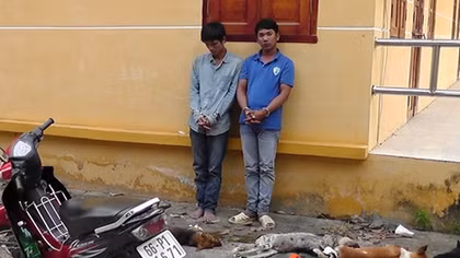 Hai thanh niên bắt trộm chó, kiếm tiền triệu mỗi đêm