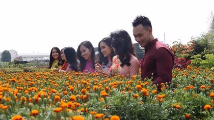 Lễ hội Hoa Xuân Sa Đéc 2020 với nhiều hoạt động đặc sắc