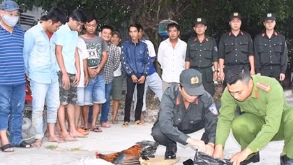 Công an Châu Thành triệt phá tụ điểm đá gà