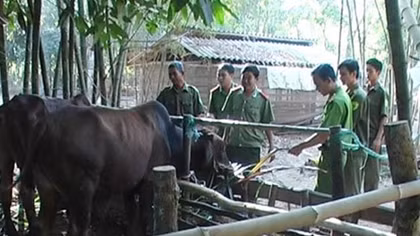 Trà Vinh hướng tới xóa đói giảm nghèo bền vững