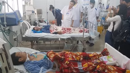Các bệnh nhân ăn phải cá nóc qua cơn nguy kịch