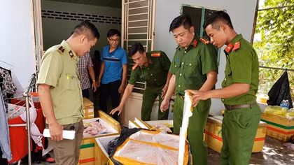 Căn nhà không số "chứa" nửa tấn lòng động vật không rõ nguồn gốc