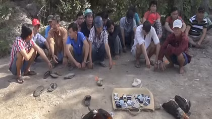 Tổ chức đá gà ăn tiền tại nhà