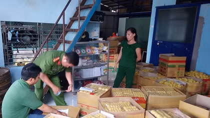 Rùng mình với hơn 10 tấn mì sợi dương tính với hàn the