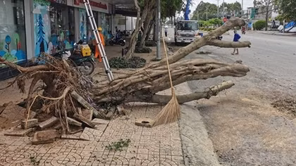 Mưa giông làm 45 căn nhà bị sập và tốc mái