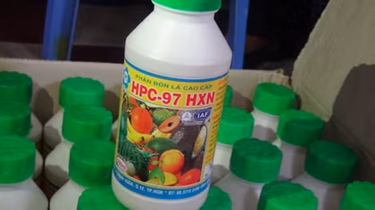 Phát hiện cơ sở ngâm bơ bằng hoá chất