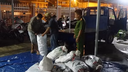 Phát hiện 380kg chả cá dương tính hàn the