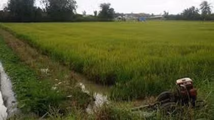 Chủ tịch xã bị điện giật tử vong