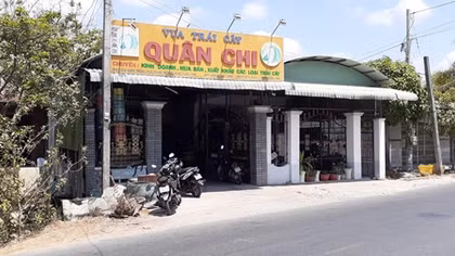 Chủ vựa trái cây báo bị trộm tiền tỷ