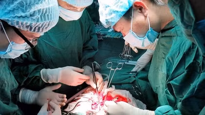 Cứu sống bệnh nhân ngưng tim ngưng thở
