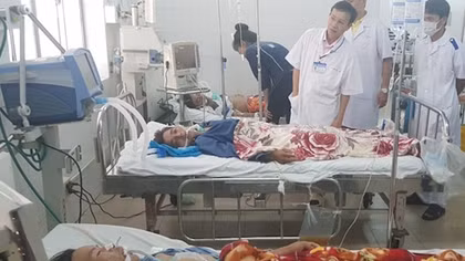 3 người nguy kịch sau bữa nhậu với cá nóc