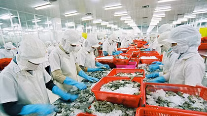 Năm 2018, xuất khẩu thủy sản của Việt Nam ước đạt 2 triệu tấn