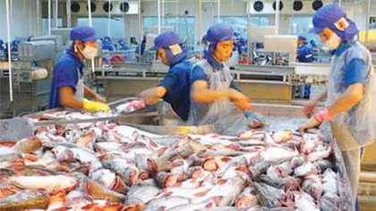 Xuất khẩu cá tra sang Trung Quốc tăng mạnh