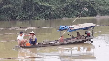 Thực trạng tận diệt thủy sản trên sông Lô