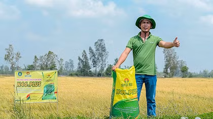 Mang lại năng suất cao, lợi nhuận nhiều
