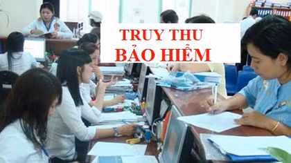 Chủ doanh nghiệp người nước ngoài bị đề nghị xử lý hình sự vì trốn đóng bảo hiểm xã hội