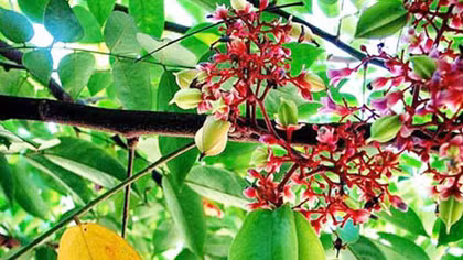 Thế là