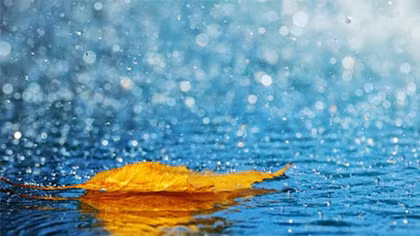 Đợi mưa