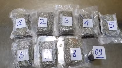 Phát hiện 2,3kg ma túy dạng cây lá và bột dẻo trong hàng hóa cá nhân về Việt Nam