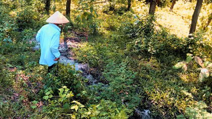 Kiến nghị xử lý tình trạng ô nhiễm môi trường ở cụm công nghiệp Đại Quang