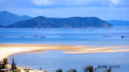 Thiên Cầm ngày trở lại 