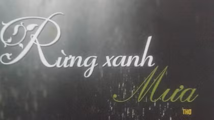 Huyền ảo những cơn mưa