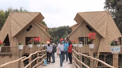 “Thịnh vượng” Trà Sư cho ngày trở lại