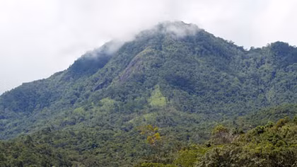 Người đàn bà bên thung lũng Yang Tao