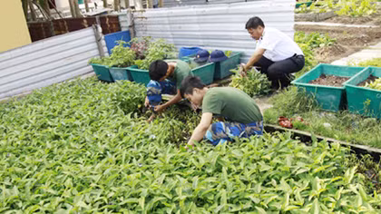 Lính Hậu cần ở Trường Sa