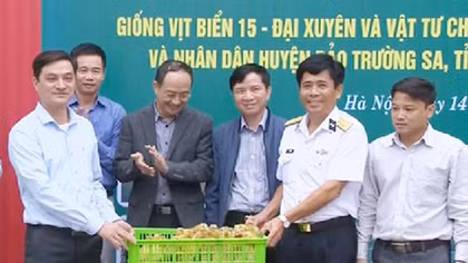 Những hi vọng từ bên trong