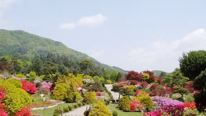 Nơi thu sang mây trắng vẫn bay về