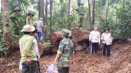 Ngăn chặn nạn chảy máu tài nguyên rừng ở Lâm Đồng