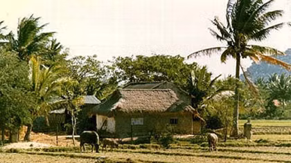Mái nhà xưa