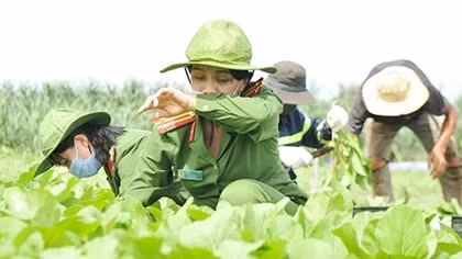 Những chuyến hàng nặng nghĩa tình từ Tây Nguyên