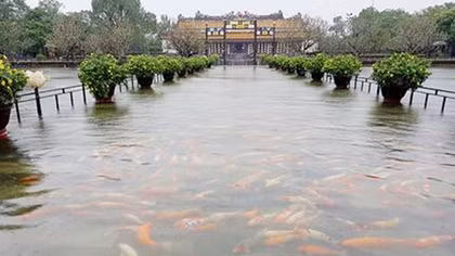 Chung sống với thiên nhiên- liệu còn kịp?