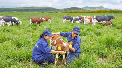 Vinamilk ra mắt sản phẩm sữa tươi 100% Organic đầu tiên được sản xuất tại Việt Nam