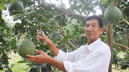 Lão nông hai bằng cử nhân chuẩn bị bảo vệ luận văn thạc sĩ luật