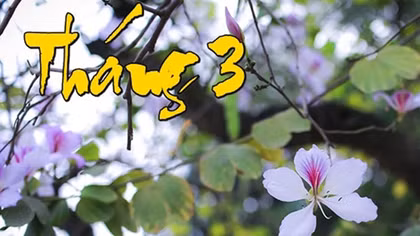 Dư âm tháng ba...