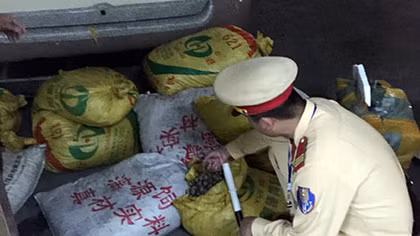 Thu 700 kg sò, tu hài Trung Quốc trên đường đi tiêu thụ
