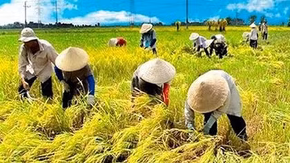 Giảm nghèo: “Cuộc chiến” còn nhiều thách thức