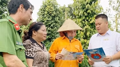 Vai trò trụ cột của chính sách Bảo hiểm xã hội, Bảo hiểm y tế trong hệ thống an sinh xã hội
