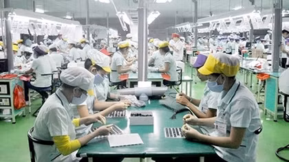 Người lao động có thêm nhiều việc làm