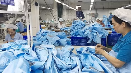 Doanh nghiệp Việt chiếm ưu thế trong xuất khẩu