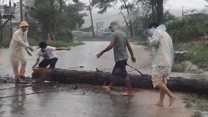 CSGT dầm mưa cùng người dân dọn cây gỗ lớn đổ ngang đường 