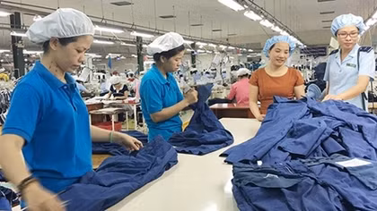 EVFTA tạo sân chơi bình đẳng hơn cho các doanh nghiệp