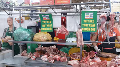 Tăng cường kiểm soát sau vụ 3.750 con lợn bị tiêm thuốc an thần 