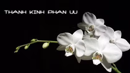 Lời chia buồn với gia đình đồng chí Lê Thị Kim Nhung